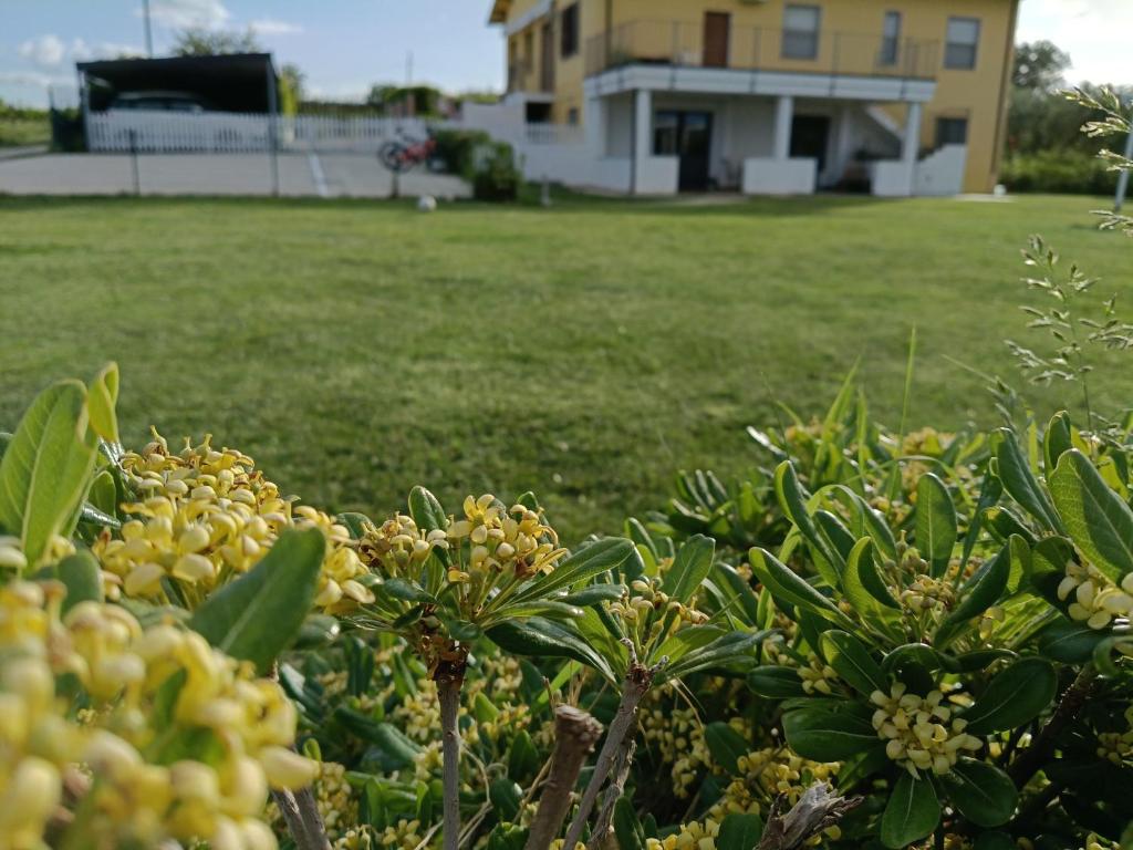 Zahrada ubytování Natura e Mente Camere e Relax