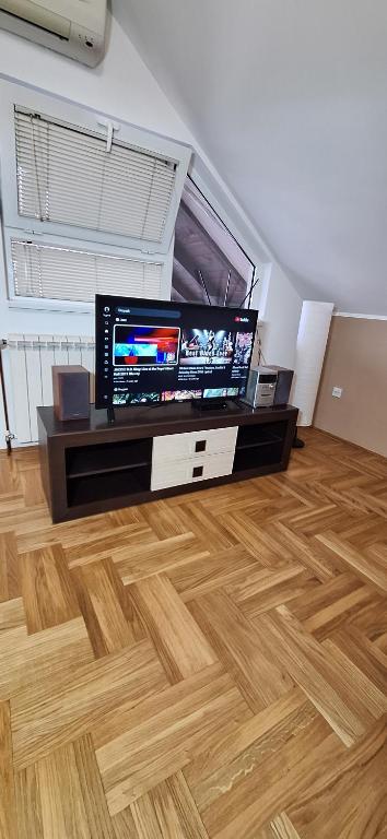 TV a/nebo společenská místnost v ubytování ANA Apartment
