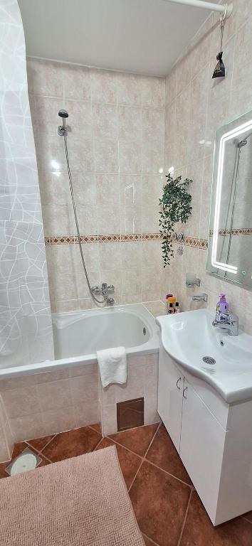 Koupelna v ubytování ANA Apartment