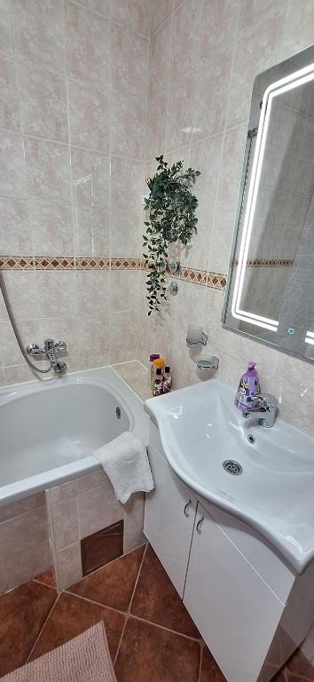 Koupelna v ubytování ANA Apartment