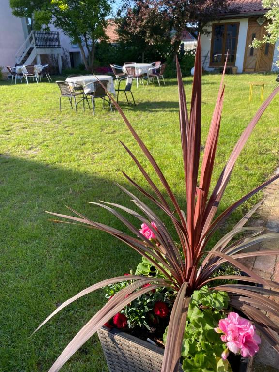 Zahrada ubytování Guest House Wiejska Sielanka