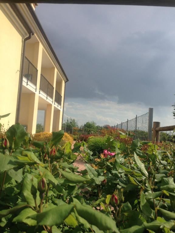 Zahrada ubytování B&B Daniel
