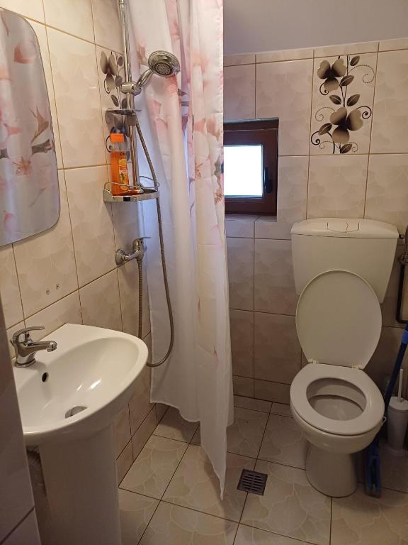 Koupelna v ubytování Casa Gherman