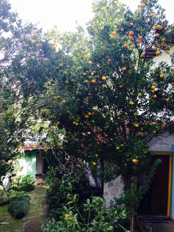  Pousada Casarão De Minas