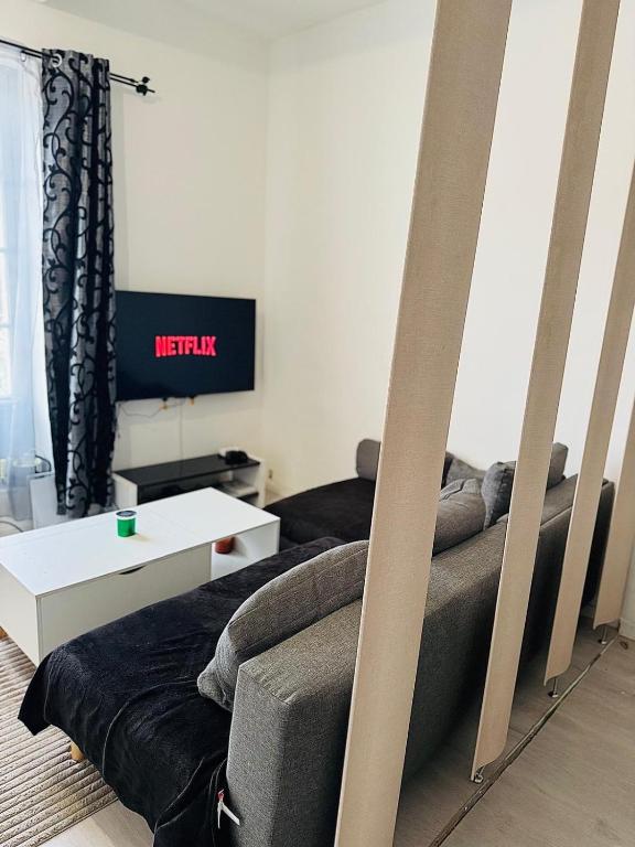 un salon avec un canapé et une table dans l'établissement Charmant T2 tout confort centre ville BEZIERS, à Béziers