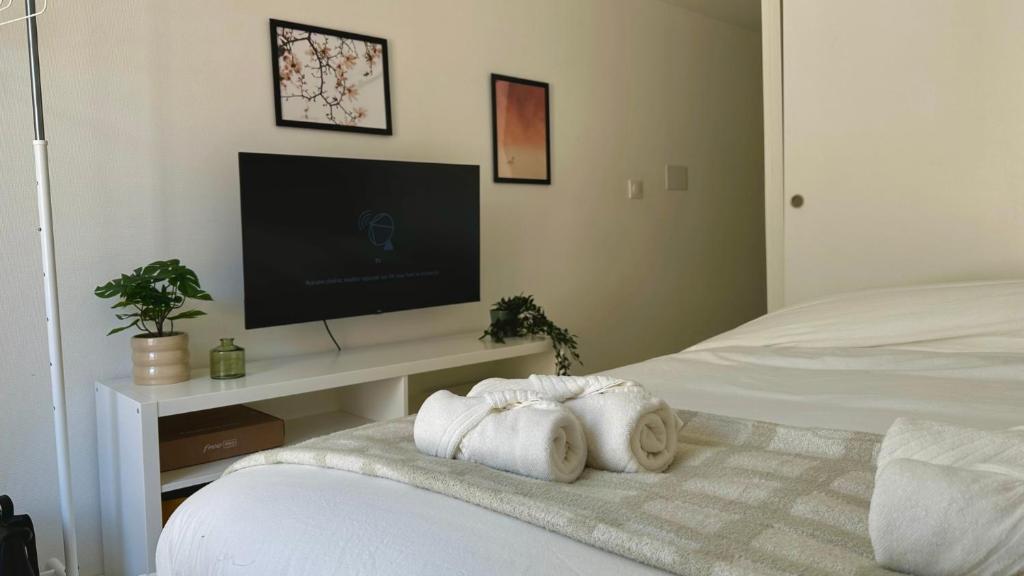een slaapkamer met een tv en handdoeken op een bed bij Brise de Loire in Nevers