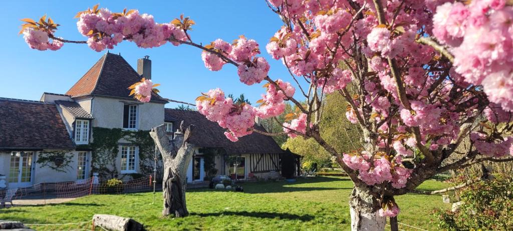 un arbre aux fleurs roses devant une maison dans l'établissement Country house for animals and nature lovers, à Courcy-aux-Loges