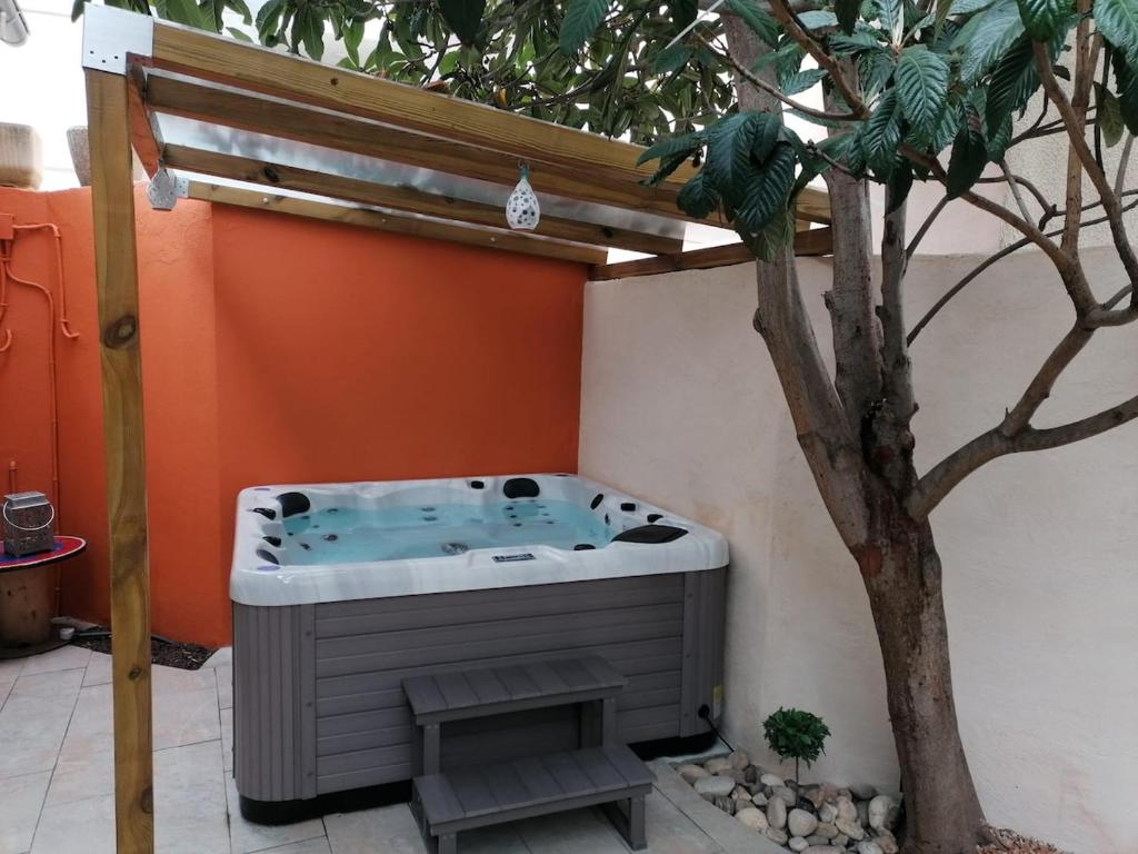 un bain à remous à côté d'un arbre dans une cour dans l'établissement Maison de ville dans écrin de verdure, à Nîmes