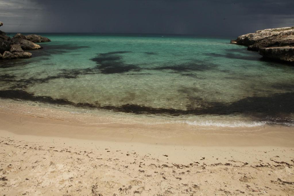 a view of a beach with the water at Playa del Mar - Adults Only in Monopoli