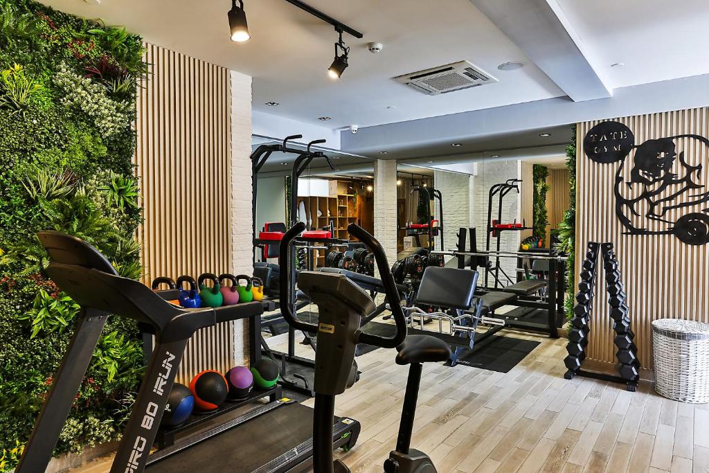 Fitness centrum a/nebo fitness zařízení v ubytování Boutique Hotel Tate By Aycon