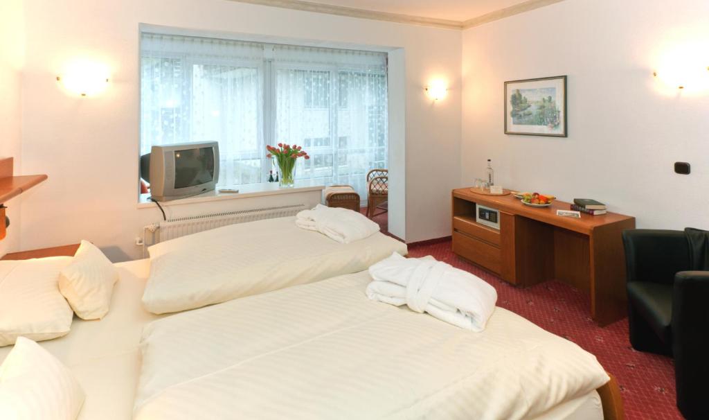 Hotel Zum Goldenen Hirsch - Habitación Doble