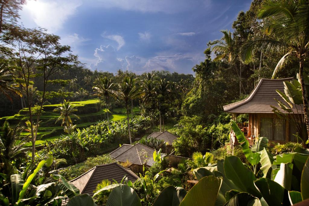 a view of a resort in the jungle at Pondok Sebatu Villa in Tegalalang