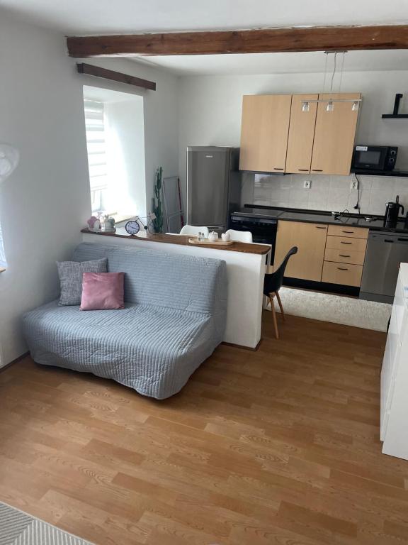 Kuchyň nebo kuchyňský kout v ubytování Apartmán u Poustevníka