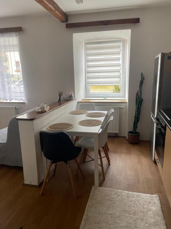 Kuchyň nebo kuchyňský kout v ubytování Apartmán u Poustevníka
