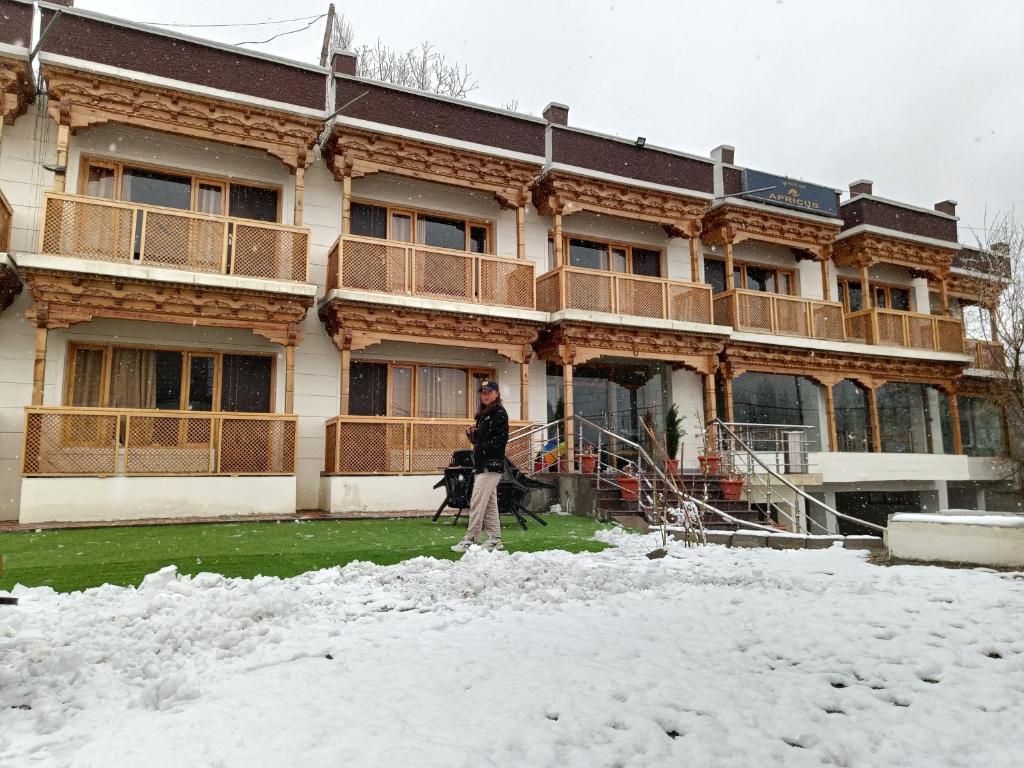 Apricus hotel v zimě
