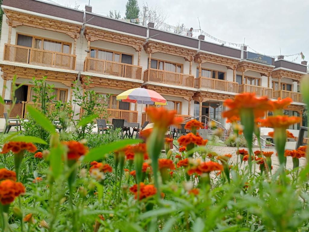 Zahrada ubytování Apricus hotel