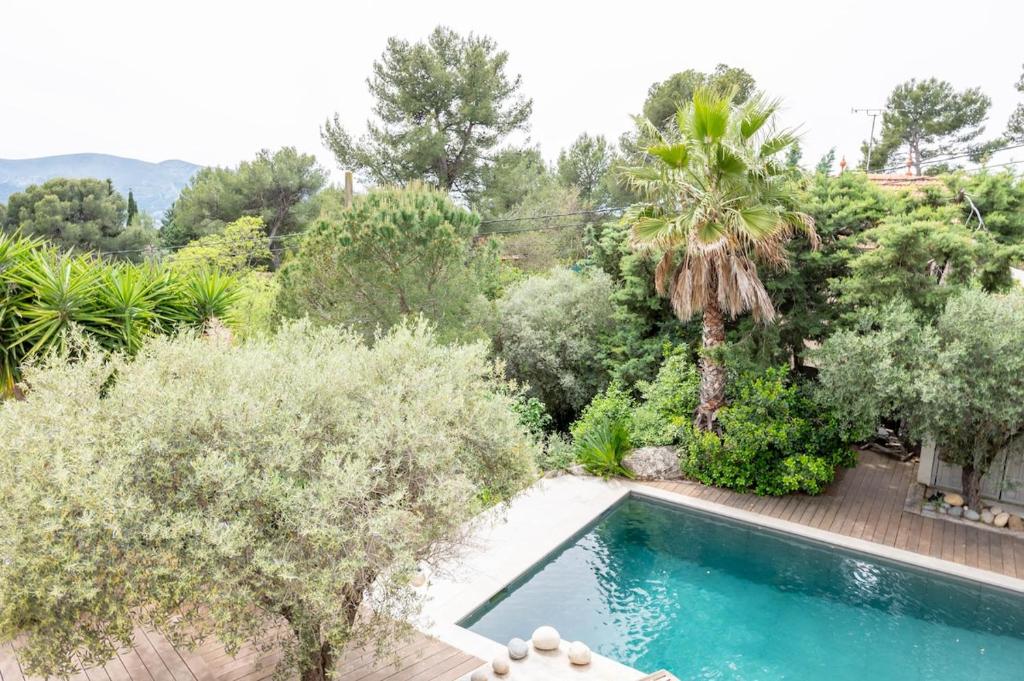 une piscine dans un jardin arboré dans l'établissement Maison Tizzano, à Marseille