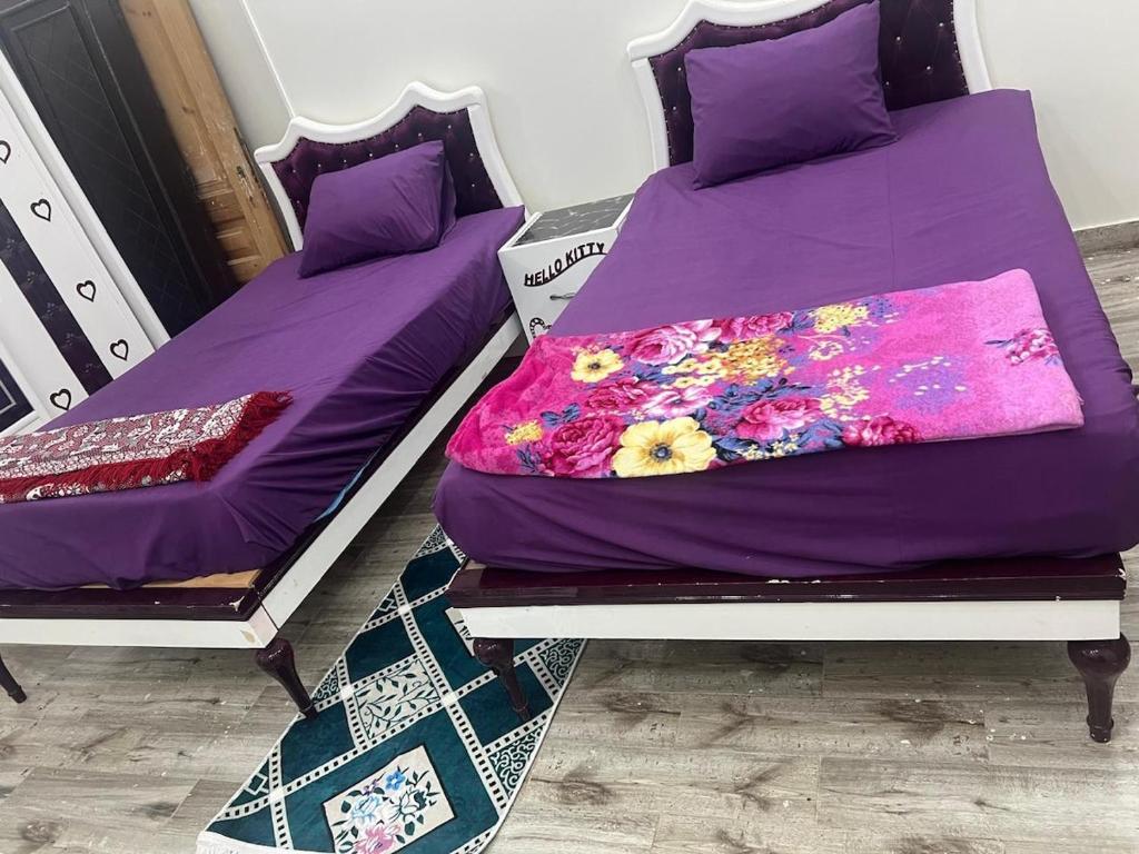Postel nebo postele na pokoji v ubytování Large 2 Bedrooms 4 beds full apartment suitable for Families in Fayoum Dalah