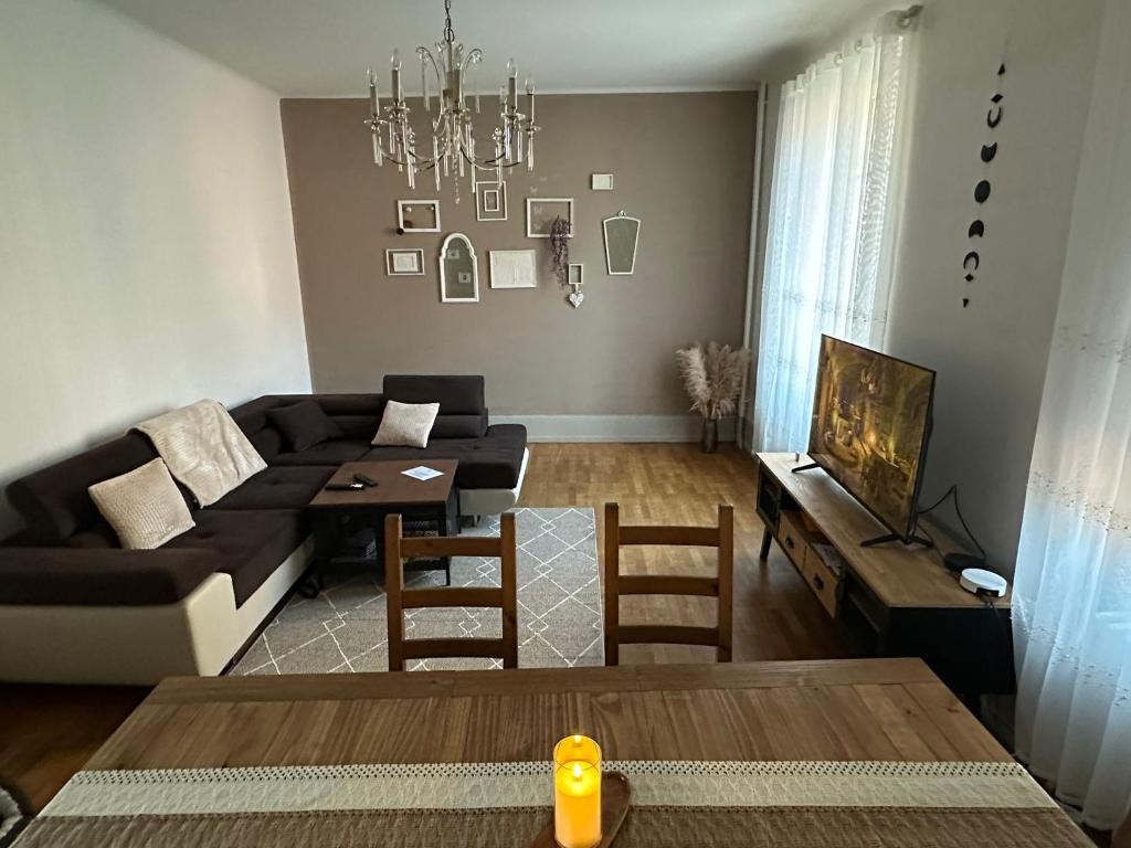 un salon avec un canapé et une table dans l'établissement Jardin de Victor Appartements calmes spacieux avec jardin clos, à Belfort