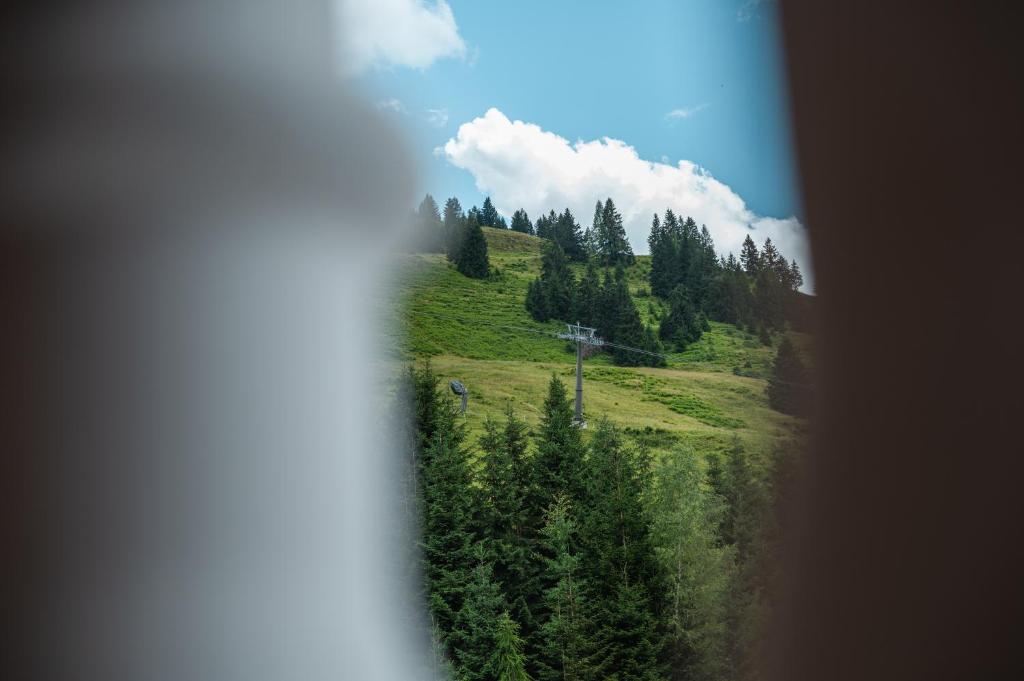 Příroda nedaleko hotelu