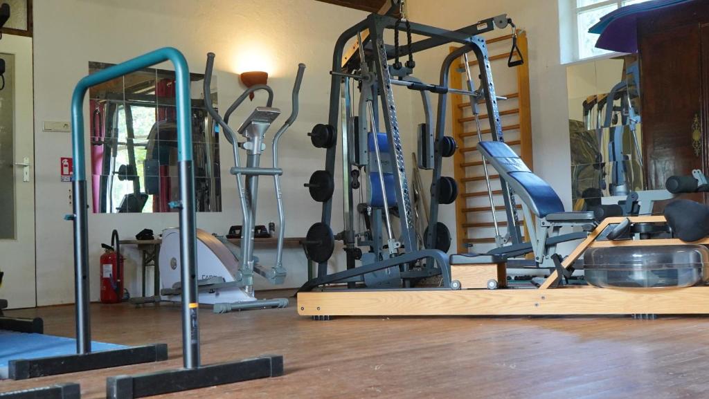 Fitness centrum a/nebo fitness zařízení v ubytování Domaine Les Bertrands