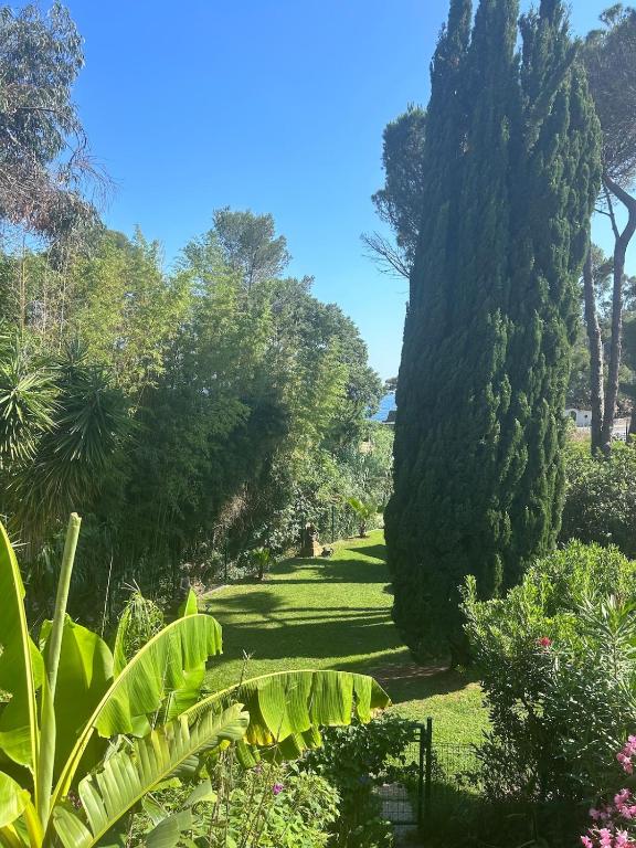 un jardin avec un grand arbre au milieu dans l'établissement Appartement Saint-Raphael, à Saint-Raphaël