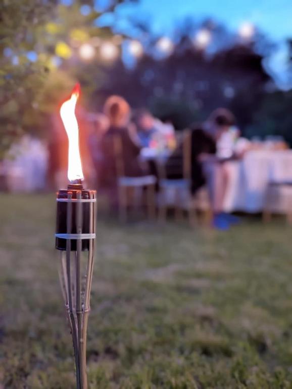 Fotografie z fotogalerie ubytování Serenity Garden Villa v destinaci Runcu