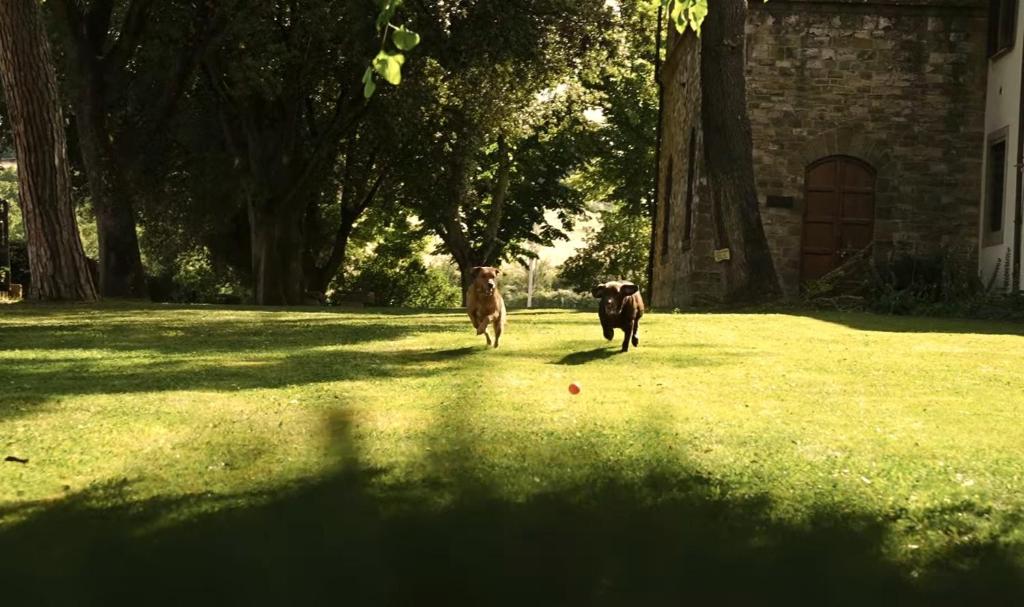 Golf v farmy nebo okolí