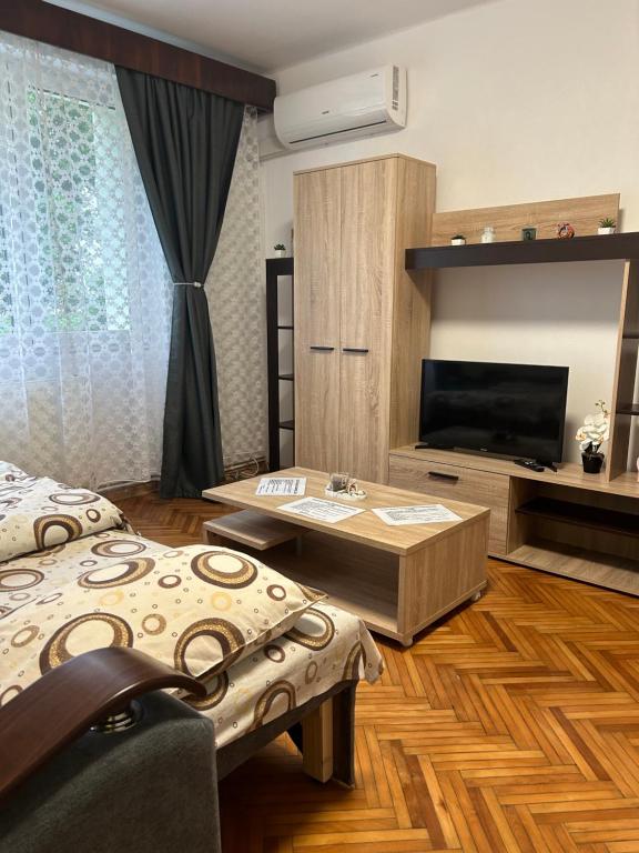 a living room with two beds and a flat screen tv at Apartament Maria in Turda