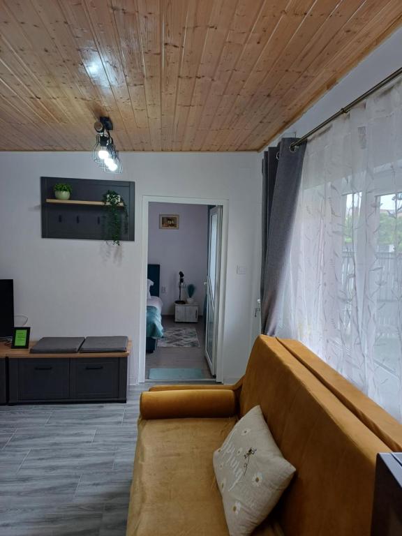 TV a/nebo společenská místnost v ubytování Casa Ioana