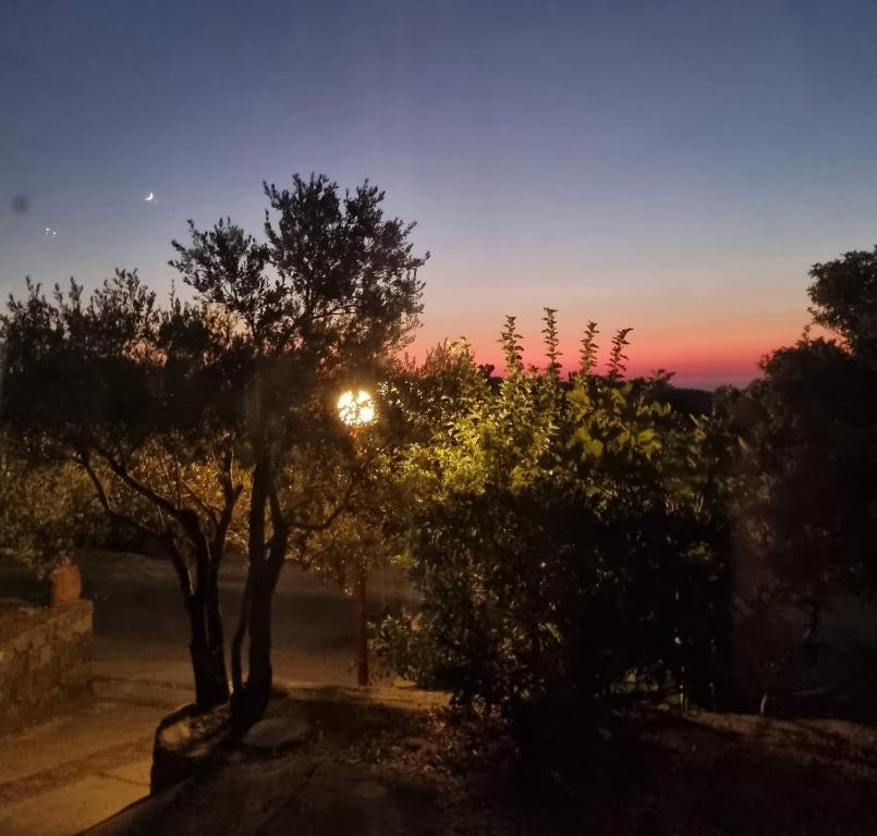a sunset behind two trees in a yard at SPITIKARIOTIKO Garden home in Mesochórion