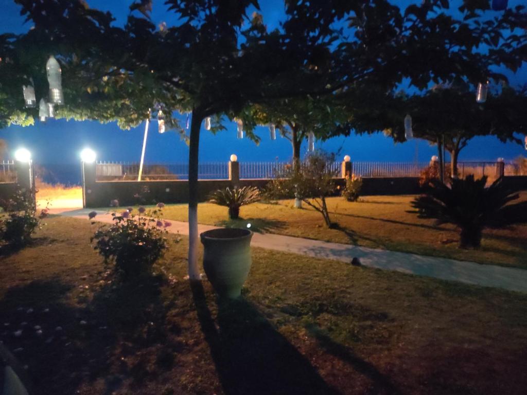 Vrt pred nastanitvijo Sun N Sand
