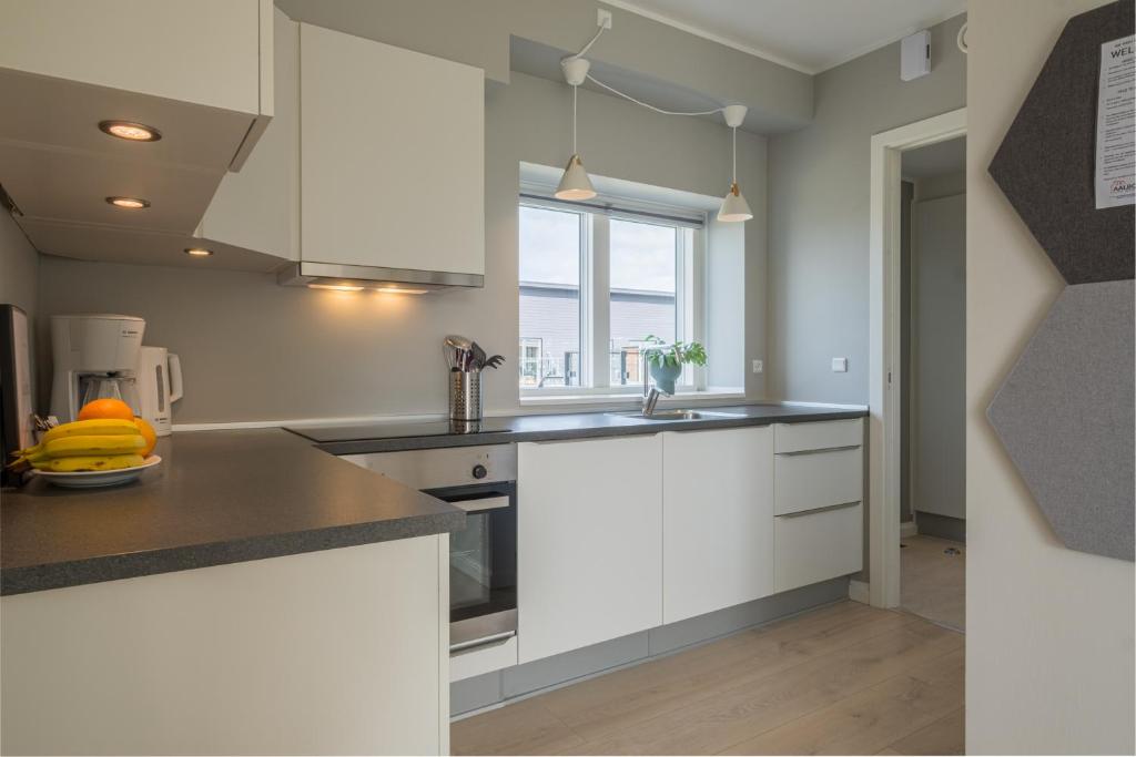 Kuchyň nebo kuchyňský kout v ubytování Aalborg Hotel Apartments