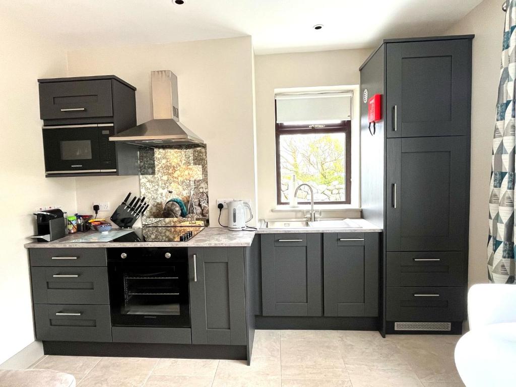 a kitchen with gray cabinets and a sink at Tigh Fitz Apartments - Inis Mór, Aran Island in Inis Mor