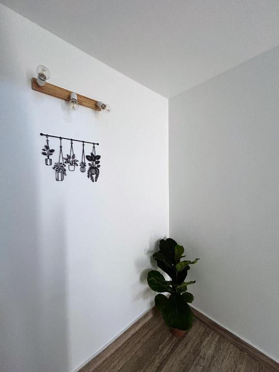 Fotografie z fotogalerie ubytování The Place v destinaci Cutrofiano