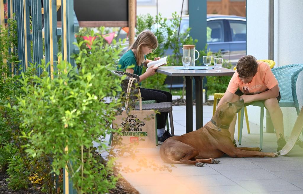 EntdeckerFERIEN am Bodensee - 11