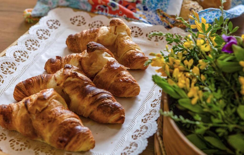 QSF Agro Turismo Quinta da Sagrada Família - 7