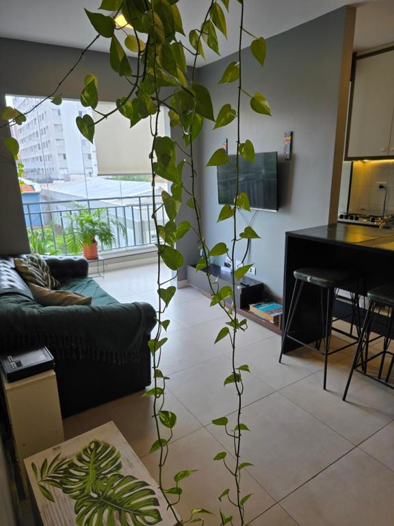a plant is growing in a living room at Apto Ipiranga 1 Quarto com vaga de garagem in Sao Paulo