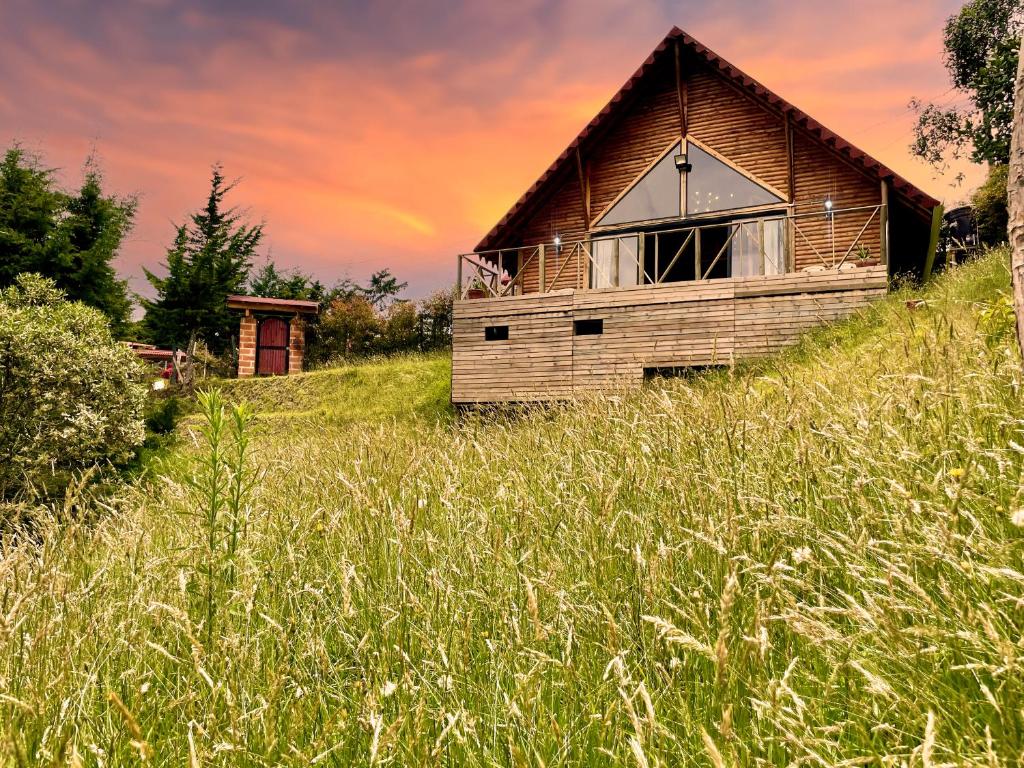 a house on top of a hill with tall grass at La Bambina Cabaña Glamping in Guarne