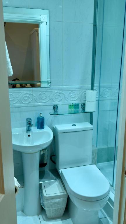 Classic Hyde Park Hotel - Resim 45