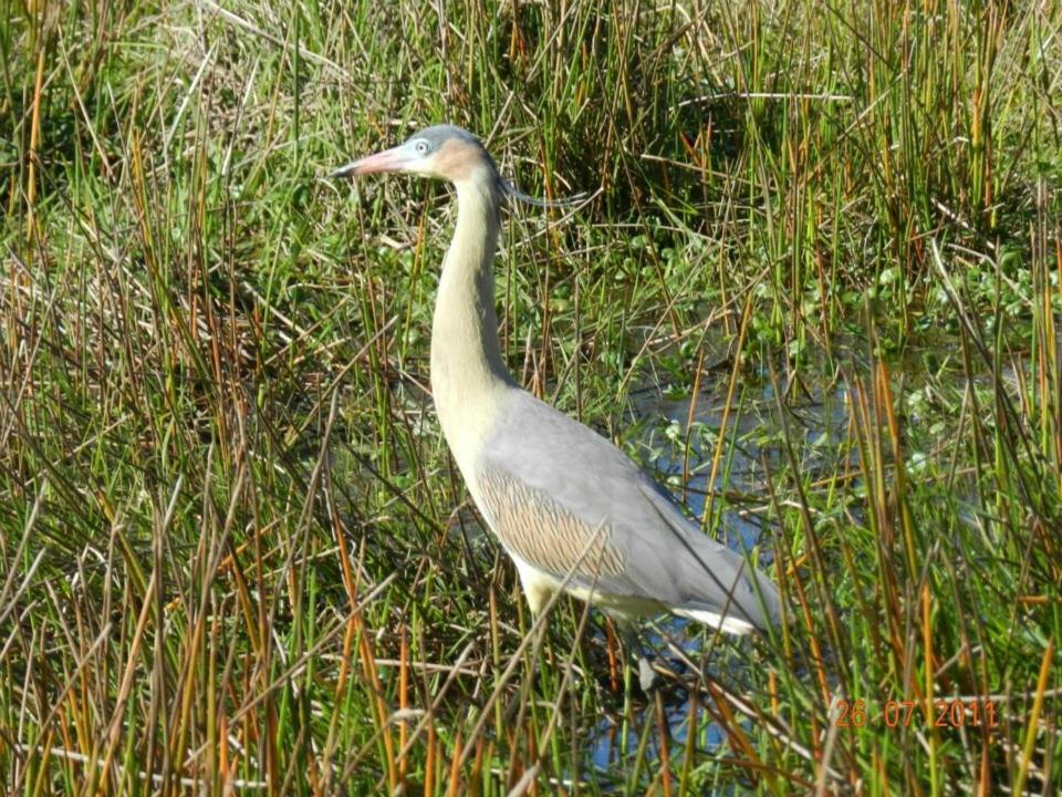  Hotel e Pousada Recanto do Rio Pardo