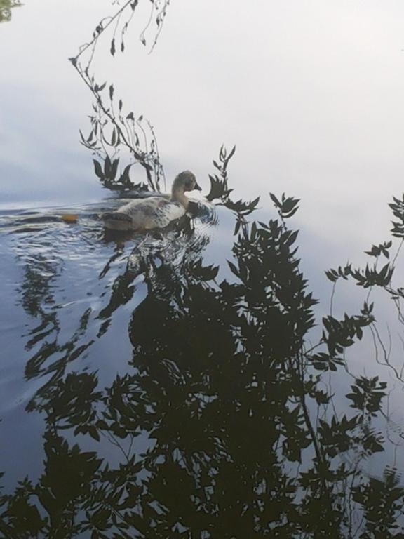  Hotel e Pousada Recanto do Rio Pardo