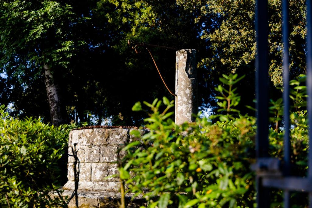 Zahrada ubytování Villa Il Fedino