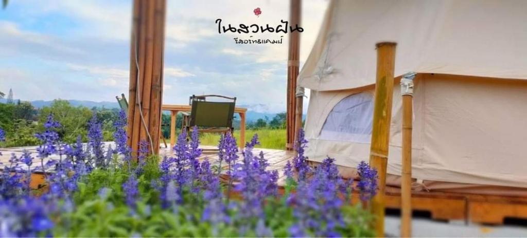 Zahrada ubytování Garden Camping Type