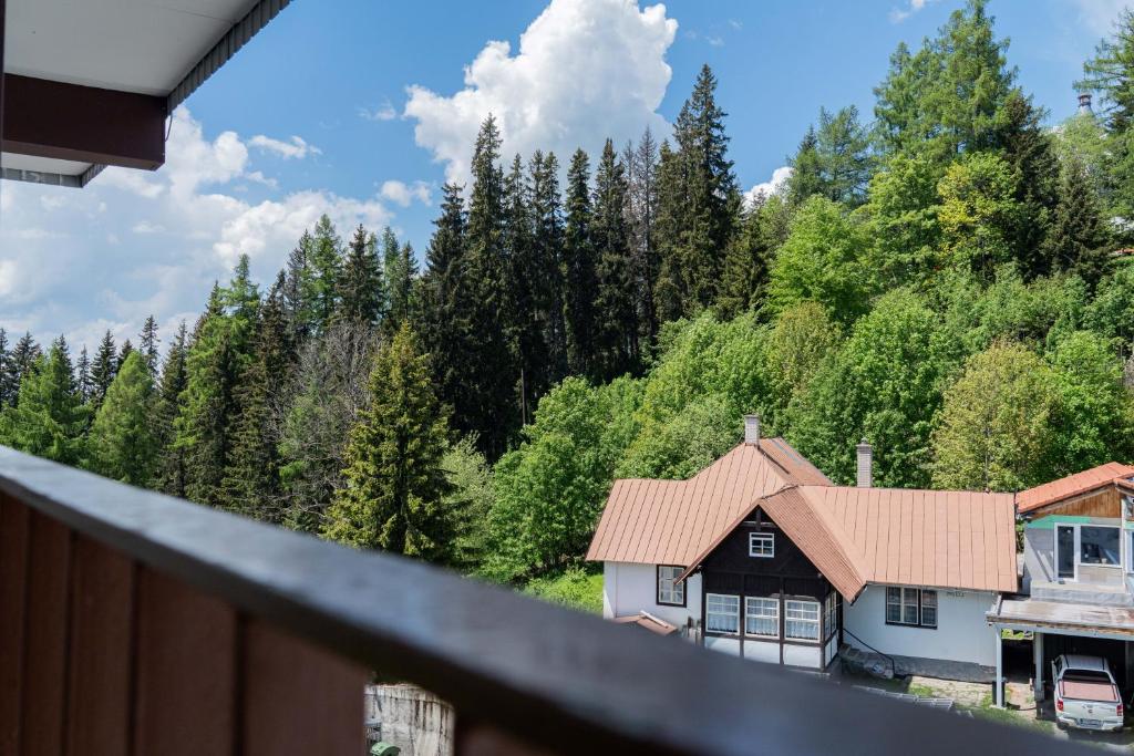 Příroda nedaleko hotelu