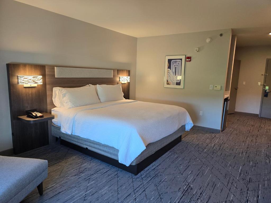 Holiday Inn Express & Suites - Smithfield/Selma by IHG - Standardzimmer Mit Kingsize-Bett