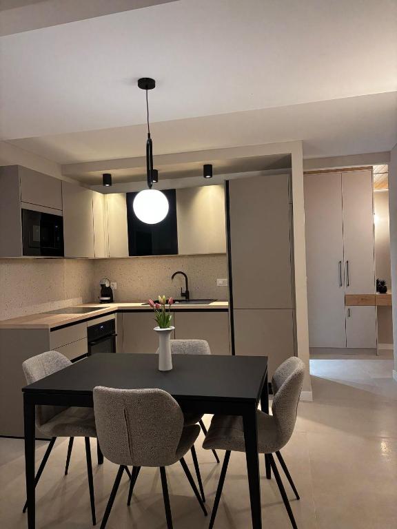 Kuchyňa alebo kuchynka v ubytovaní Sea View Apartment Gin Brela