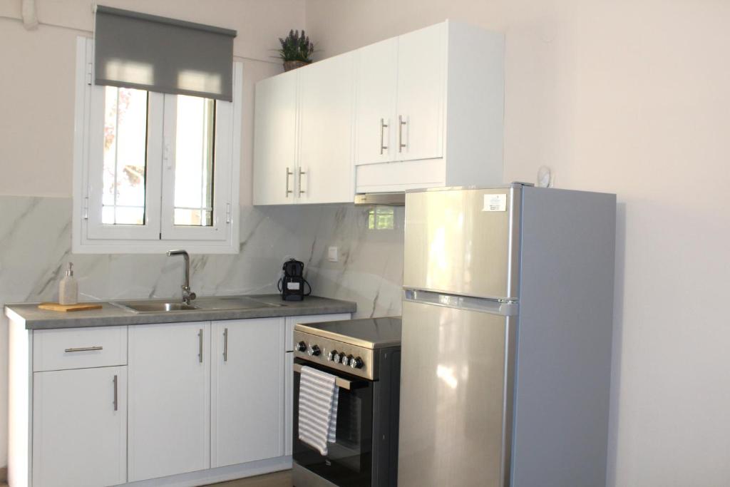 Kuchyň nebo kuchyňský kout v ubytování Fissas Rooms