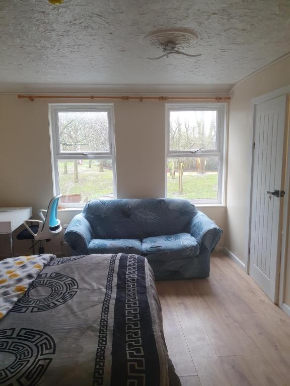 a living room with a blue couch and windows at Four Large Double With Ensuites in Abbey Wood
