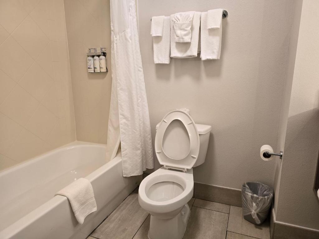 Holiday Inn Express & Suites - Smithfield/Selma by IHG - Error